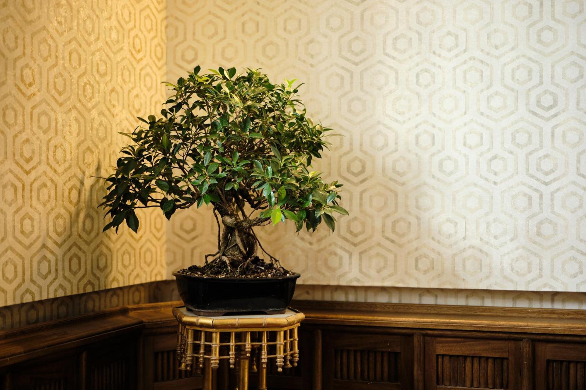 Hotel Boutique Villa Del Marques Muros de Nalón エクステリア 写真